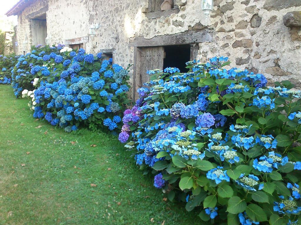 Le Domaine De Panissac Bed and Breakfast Berneuil  Esterno foto